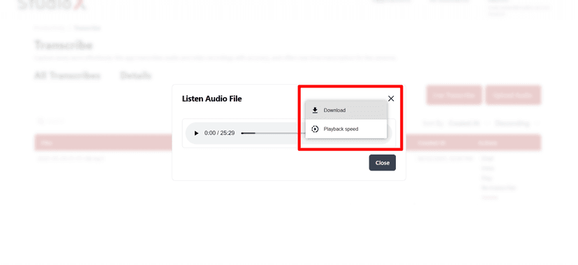 Audio Playback Controls