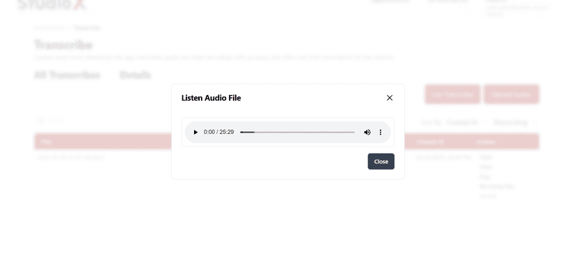Audio Playback Interface